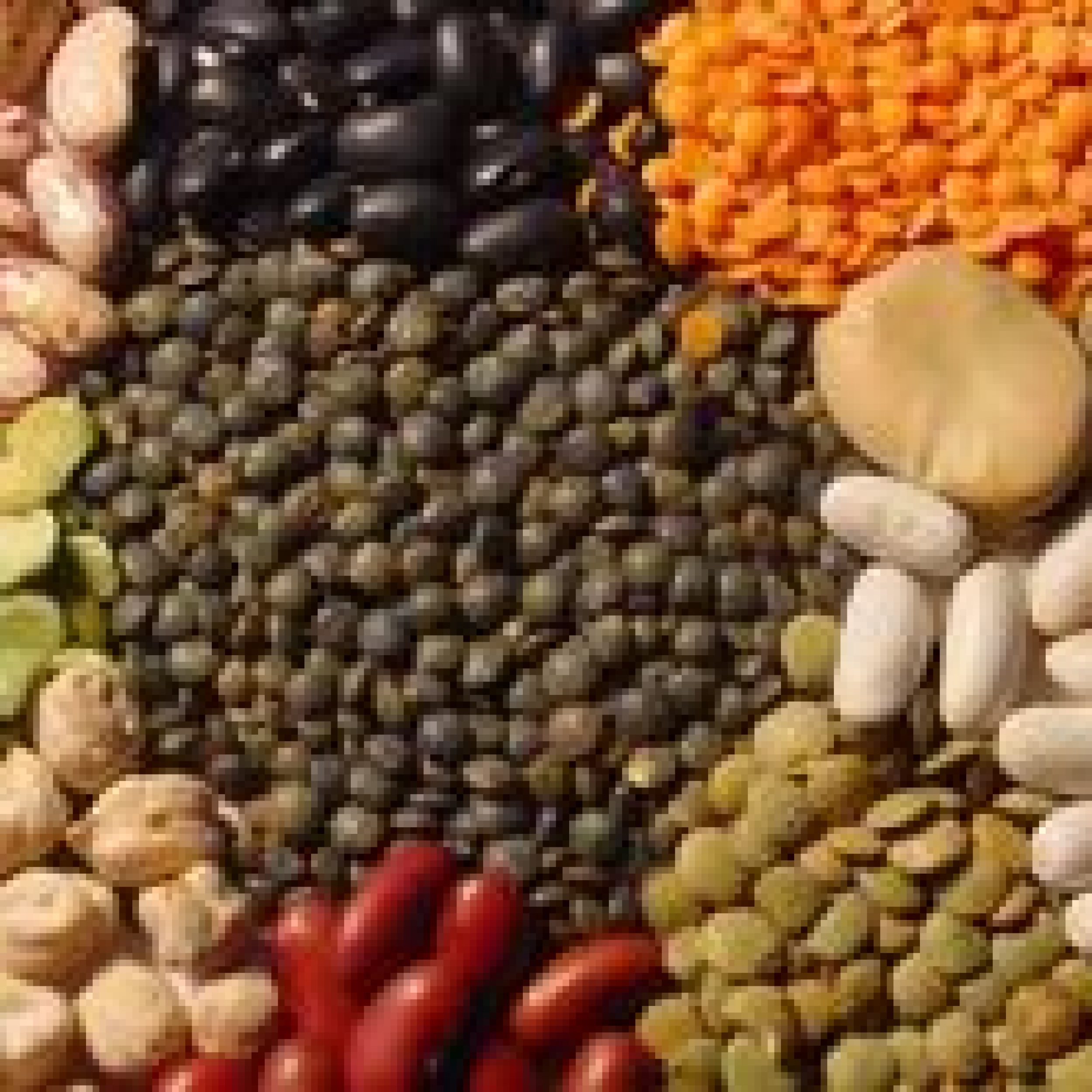 CapacitacionenClasificadordeCereales